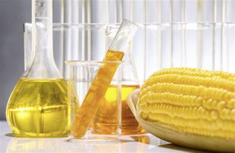 Hydrotreated Vegetable Oil (HVO) as a Promising Biofuel