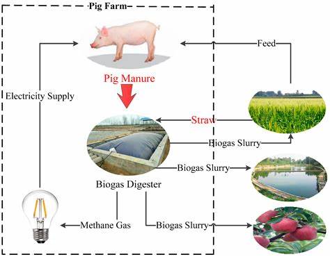 Sustainable agriculture and organic waste management