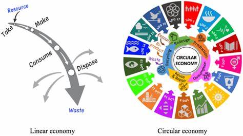 The circular economy in developing countries: opportunities and challenges