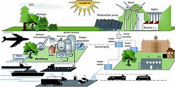 The Future of Biofuels: A Visionary Perspective