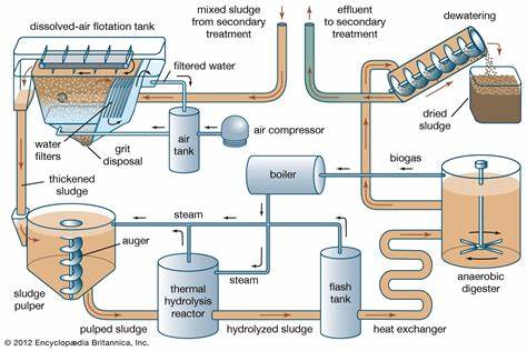 Innovations in Sludge Management from Wastewater Treatment