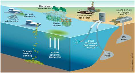 Reducing Carbon Emissions with Ocean Energy