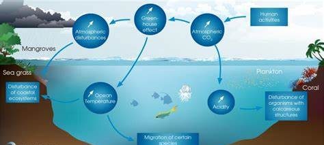 Sustainability at Sea: The Role of Ocean Energy in Maritime Industries