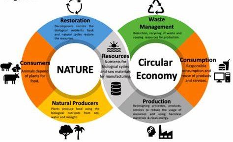 Eco Vehicles and the Circular Economy: A Sustainable Ecosystem