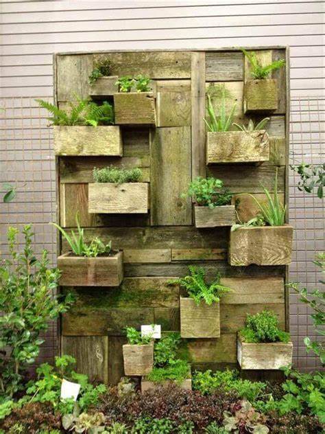 DIY Vertical Garden vs. Professional Installation