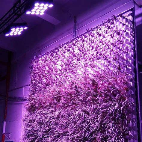 Vertical Garden Lighting Solutions