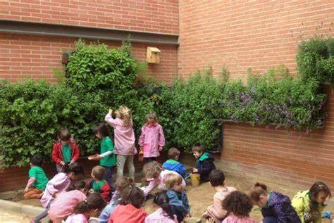 Vertical Gardens in Schools and Universities