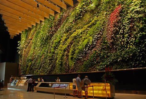 Cultural Significance of Vertical Gardens