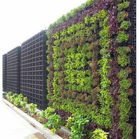 Vertical Gardens as Business Ventures