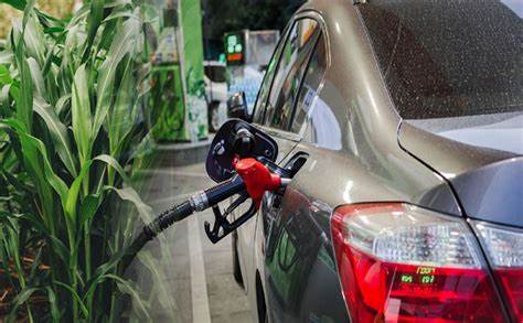 Decarbonizing Transportation with Biofuels: A Leadership Perspective