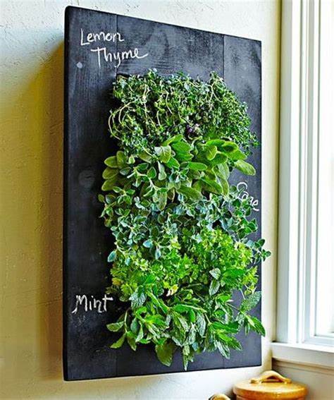 Trendy Vertical Garden Designs