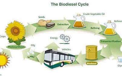 Biofuels and the Energy Transition: A Thought Leader's Analysis