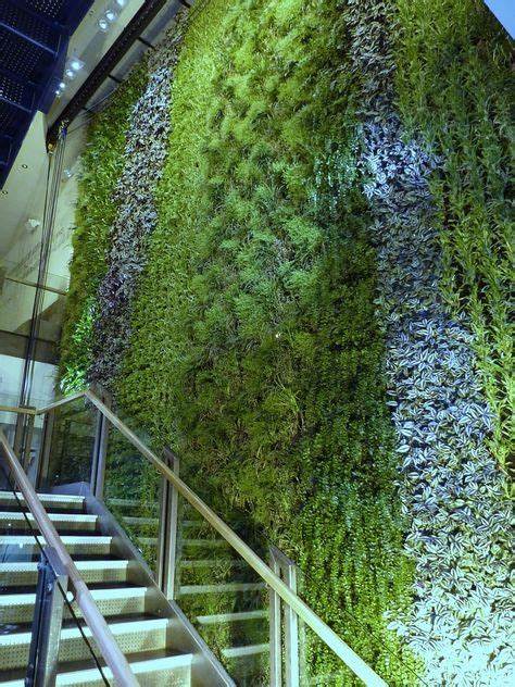 Vertical Gardens and the Philosophy of Biophilia