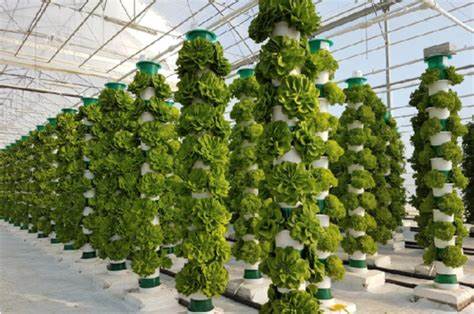 The Evolution of Vertical Garden Technology