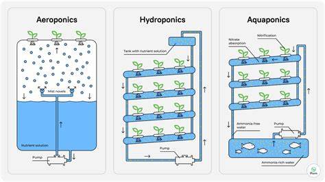 Types of Vertical Farming Systems