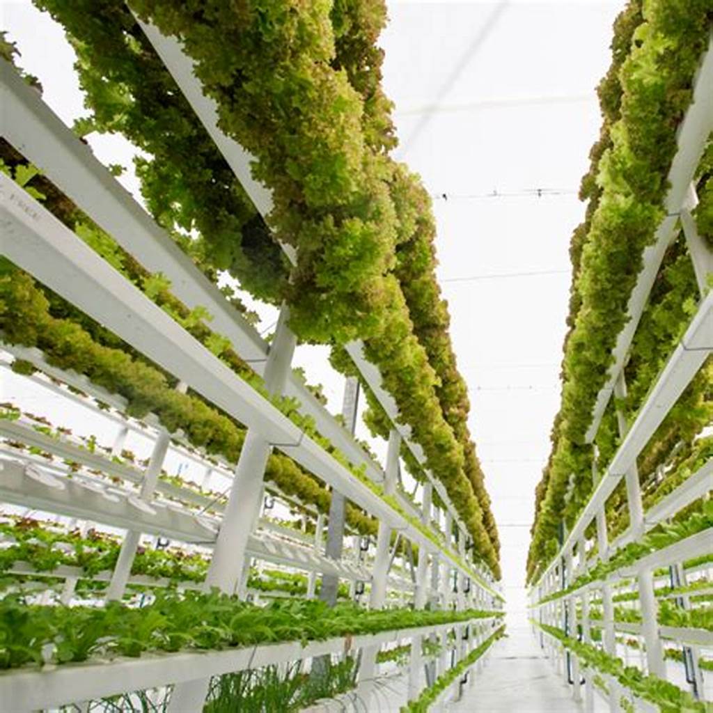 Vertical Farming Space Utilization