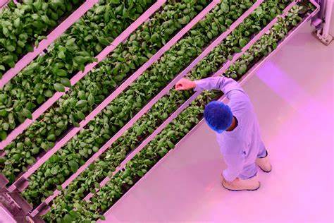 Maintaining Vertical Farm Systems