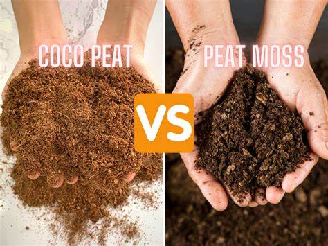 Coconut Coir vs. Rockwool vs. Peat Moss