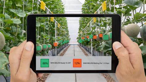 Emerging Technologies in Vertical Farming