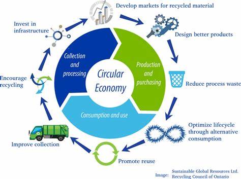 Biofuels and the Circular Economy: A Leadership Perspective