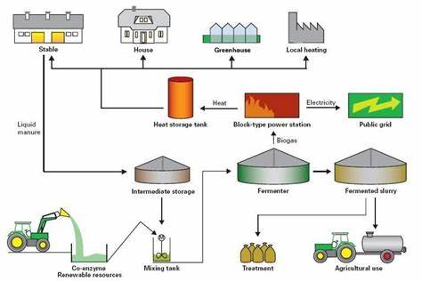 Biomethane: Harnessing Natural Gas for Sustainability