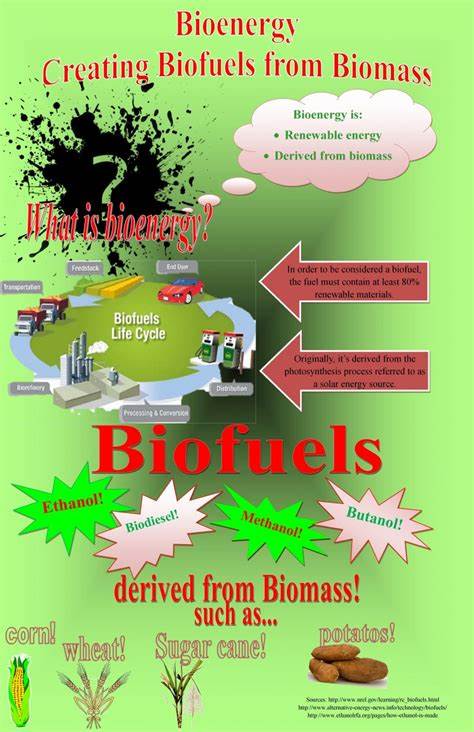 Advantages and Challenges of Using Biofuels