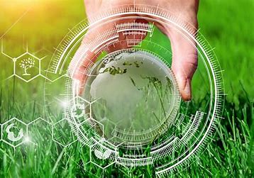 The Circular Bioeconomy: A Leadership Journey