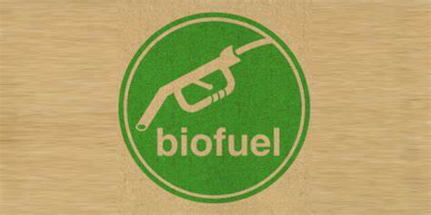 Leading the Way: Pioneers in Sustainable Biofuel Production