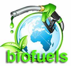 A Brief History of Biofuels