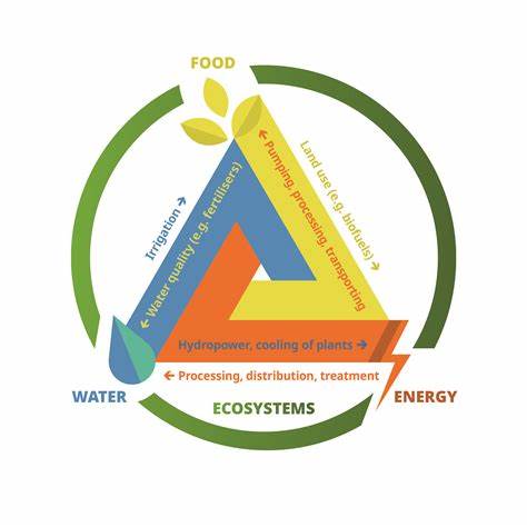 The Water-Energy Nexus: Efficiency in Wastewater Treatment