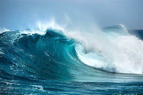 From Turbulence to Power: Harnessing the Energy of Ocean Waves