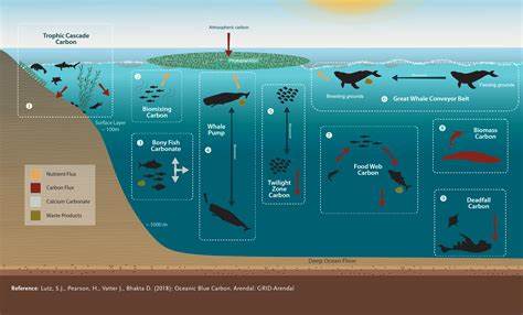 Climate Change Adaptation: Ocean Energy's Role in Coastal Protection