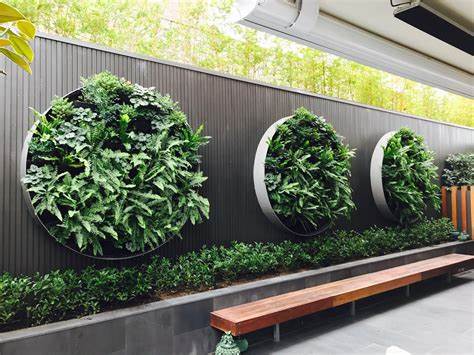 Vertical Gardens in Commercial Settings