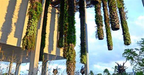 Vertical Gardens as Art Installations