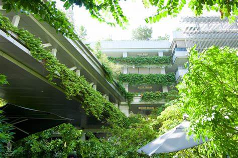 Vertical Gardens in Healthcare Facilities