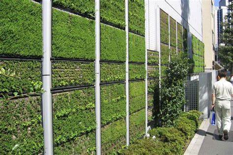 Vertical Gardening for Climate Change Mitigation