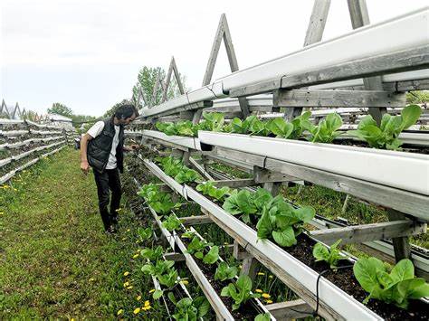 The Economic Viability of Vertical Garden Businesses