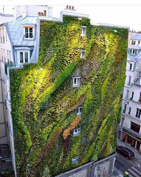 Vertical Gardens and the Philosophy of Biophilia