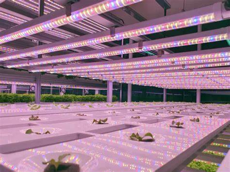 Vertical Farming Space Utilization