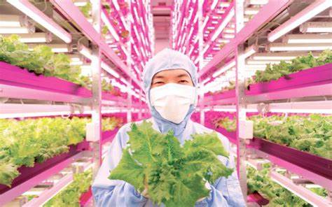 Vertical Farming and Reducing Food Waste