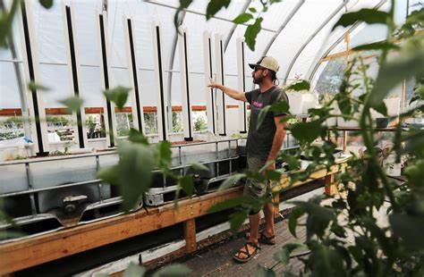 Success Stories of Vertical Farming Entrepreneurs