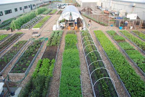 Teaching Agriculture in Urban Environments