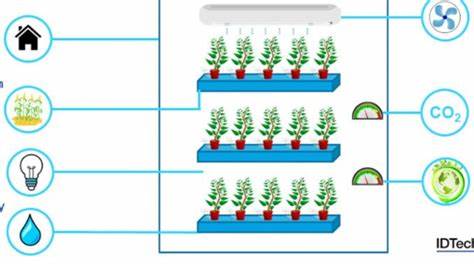 Addressing Vertical Farming Energy Consumption