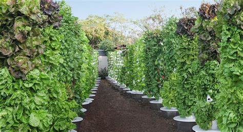 Vertical Farming and Community Gardens