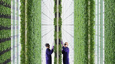 Vertical Farming: Pioneers and Visionaries Leading the Way