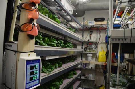 Vertical Farms as Laboratories for Agricultural Research