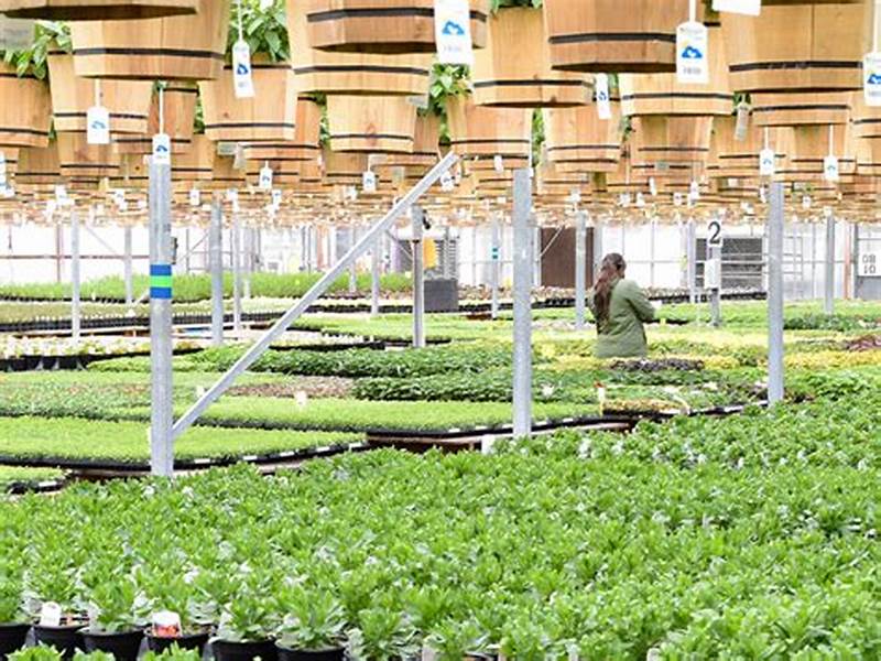 Vertical Farms: A Tool for Climate Change Adaptation