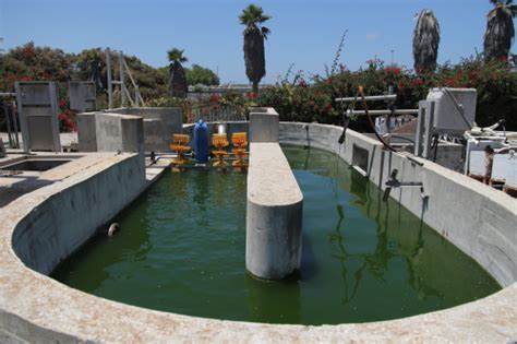 Wastewater Treatment in Developing Countries