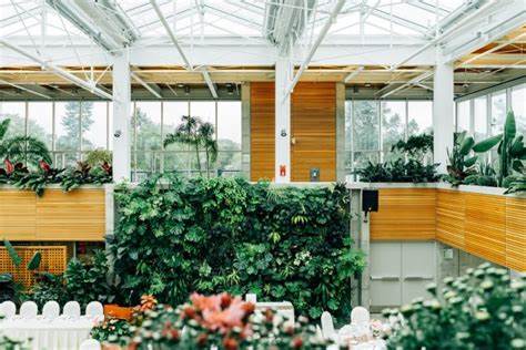 The Psychological Benefits of Surrounding Yourself with Vertical Greenery