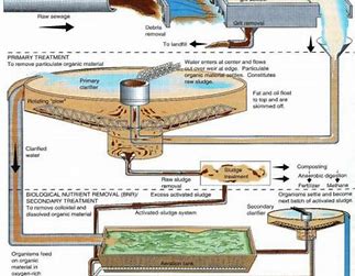 Steps in a Typical Wastewater Treatment Process